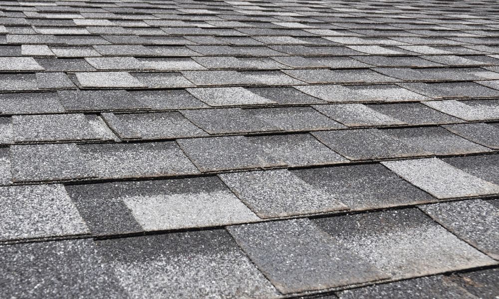 The Potential Dangers of Neglecting Your Roof