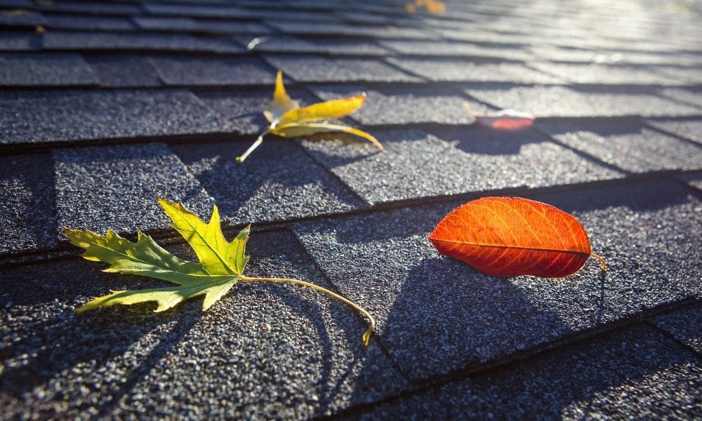Important Roof Maintenance Tips for Every Season
