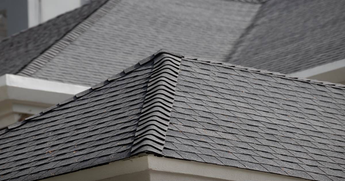 A roof with dark shingles and multiple levels receives the light of the sun. White gutters can be seen below the edges.