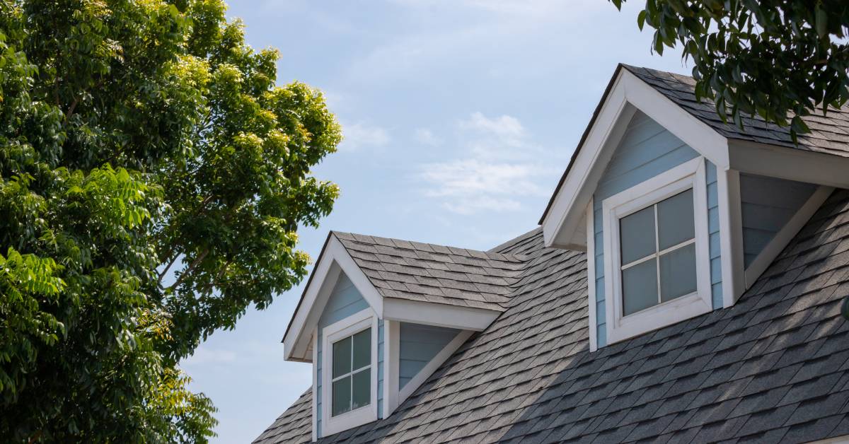 A house with teal siding and gray roof shingles is covered in sunlight and shadow as trees stand next to it.