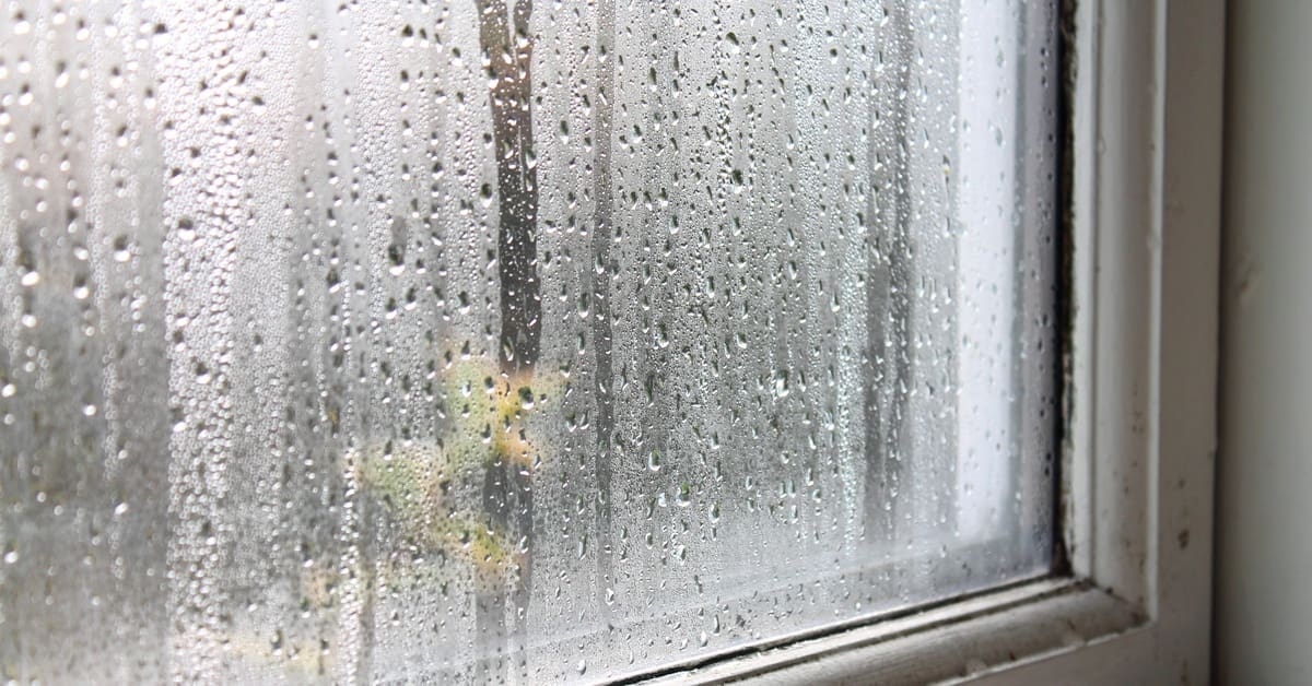Condensation appears in the lower right corner of the window, with black spotting on the white frame.