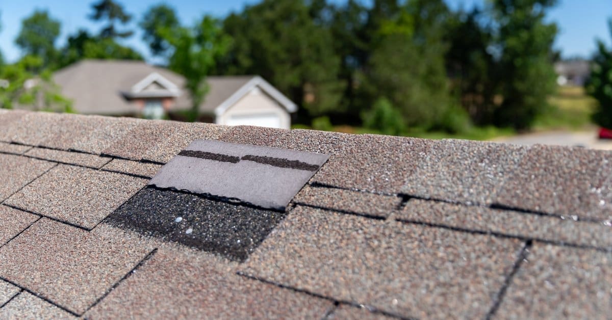 A single brown shingle near the roof ridge is displaced, revealing a strip of black underlayment beneath it.