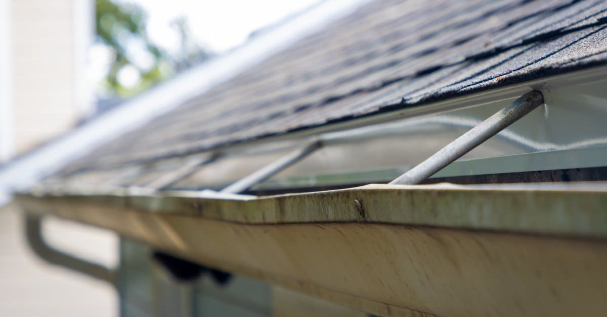 A rusted white box gutter with visible warping is in focus while dark roof shingles and blue siding appear blurred.