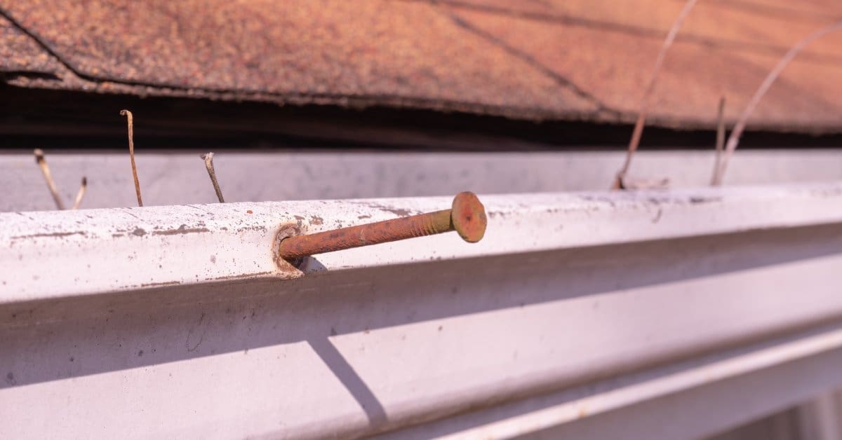 A white box gutter with a rusted fastener contains leaf stems. The gutter sits beneath reddish brown shingles.