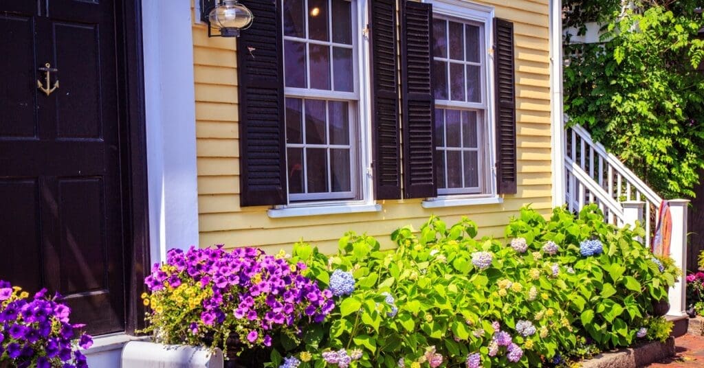 Purple flowers frame the entryway of a yellow house with black shutters and a black door displaying a gold anchor.