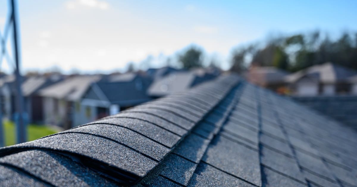 A close-up of a dark shingled roof with a textured ridge line, set against a blurred residential neighborhood and blue sky.