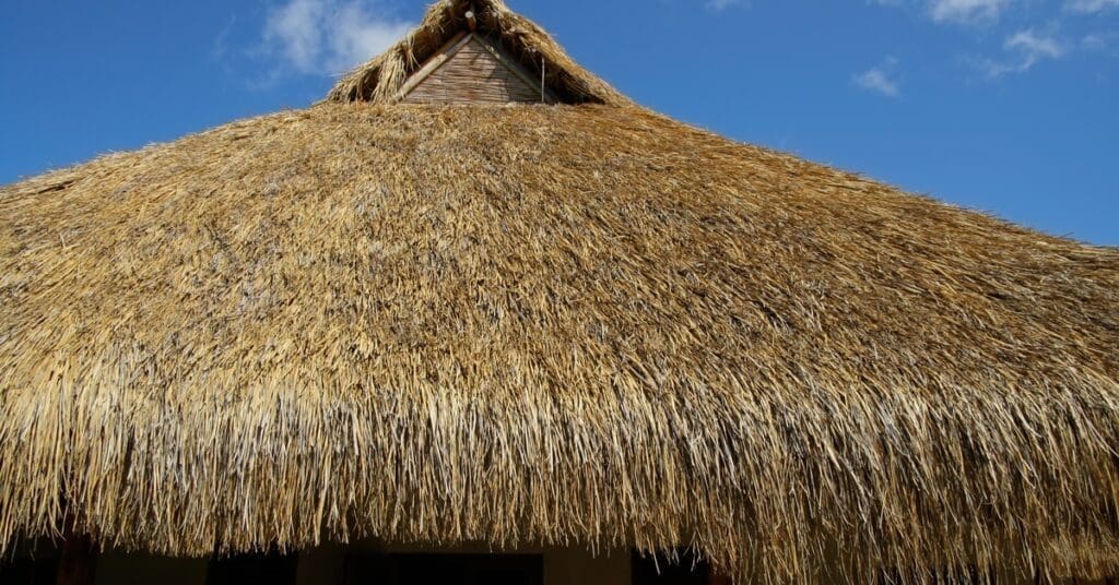 A close-up of a thatched roof with visible straw texture, set against a bright blue sky with scattered white clouds.