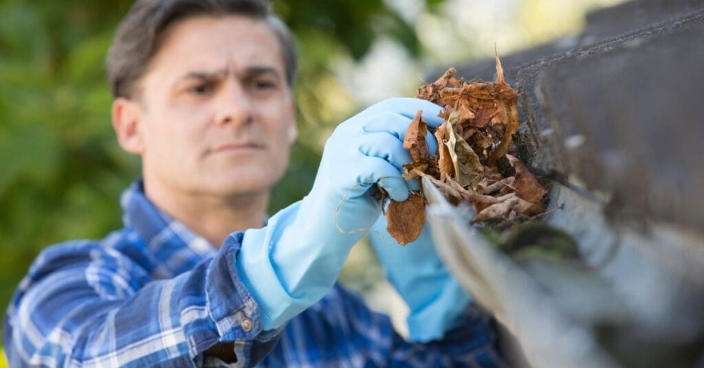 A man wearing blue gloves removes a handful of dry leaves from a clogged gutter along the edge of a roof.