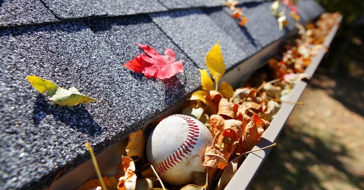 A clogged gutter filled with dry leaves and a baseball sits along the edge of a shingled roof in autumn sunlight.